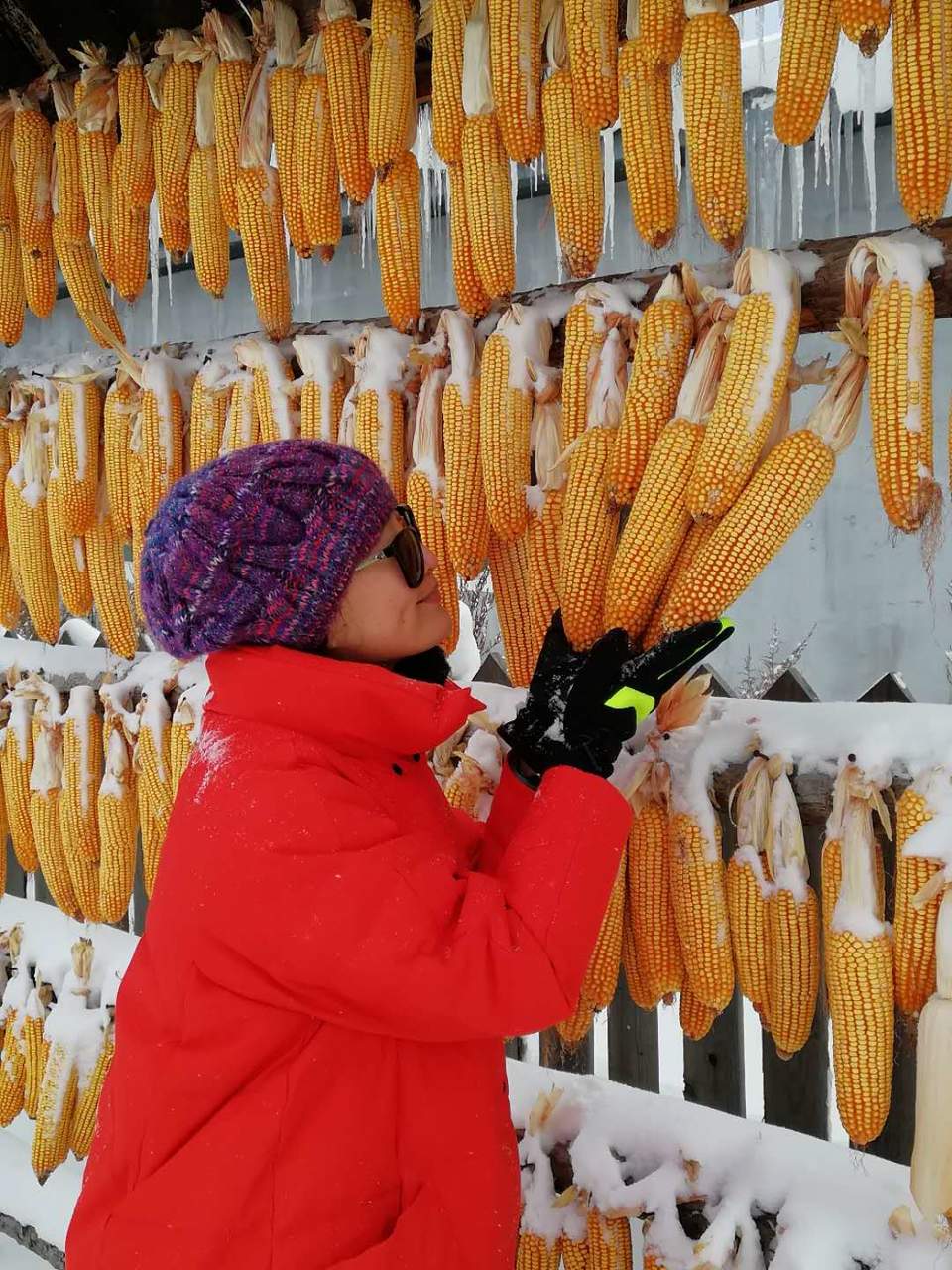 微信图片_20171118153901