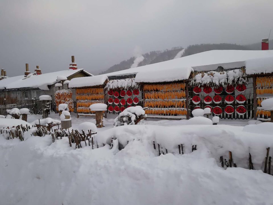 微信图片_20171118153915