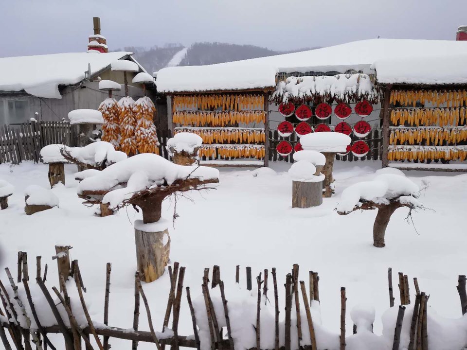 微信图片_20171118153924