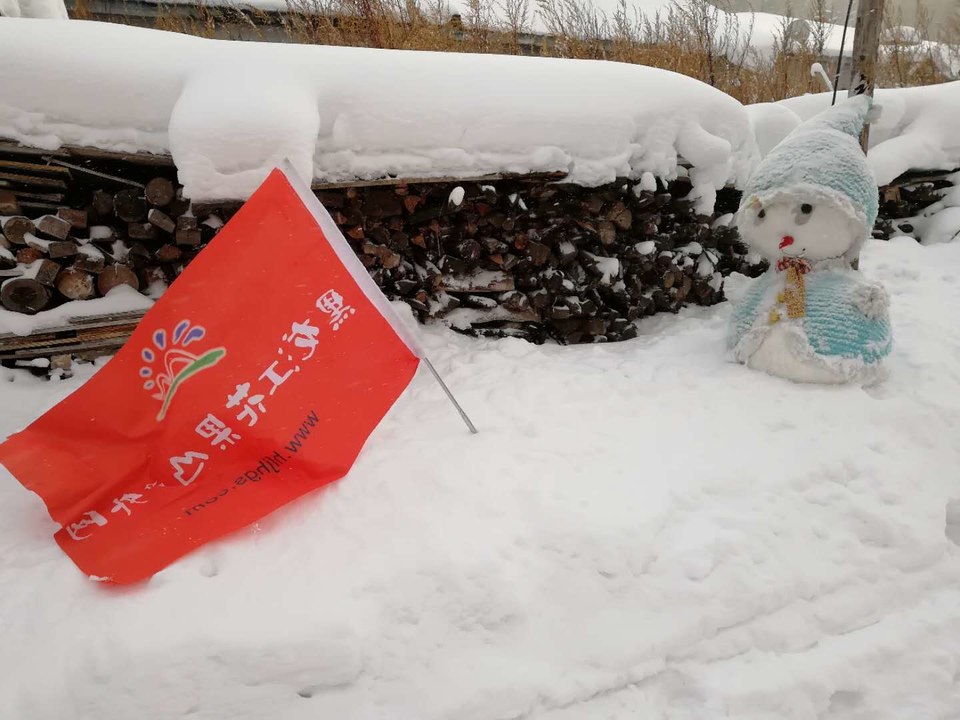 微信图片_20171118153940