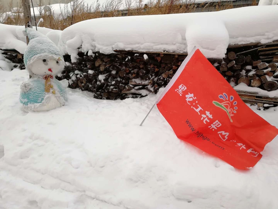 微信图片_20171118153945