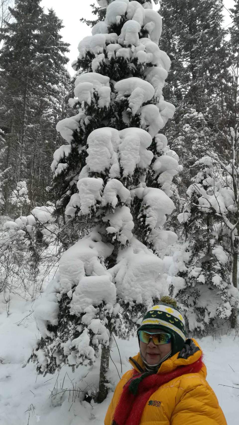 微信图片_20171118154008