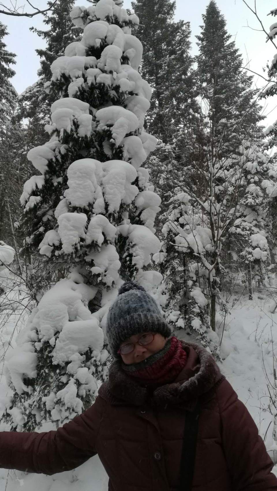 微信图片_20171118154012