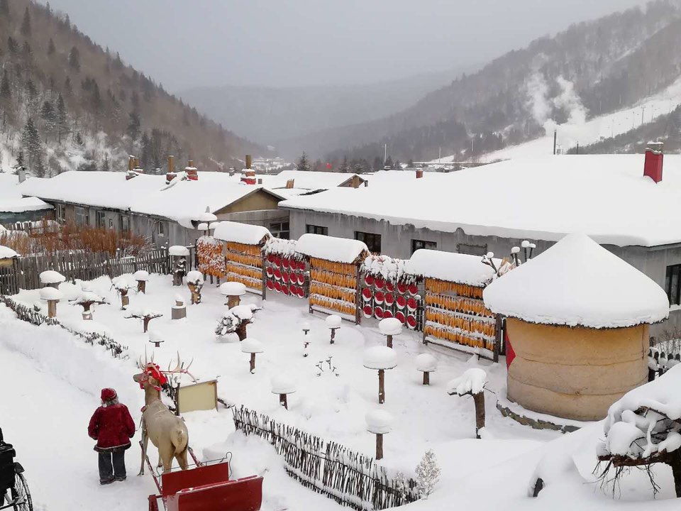 微信图片_20171118154043