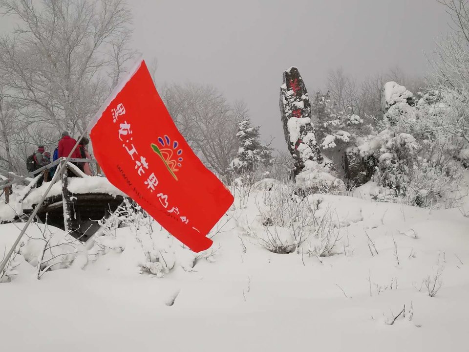 微信图片_20171126104848