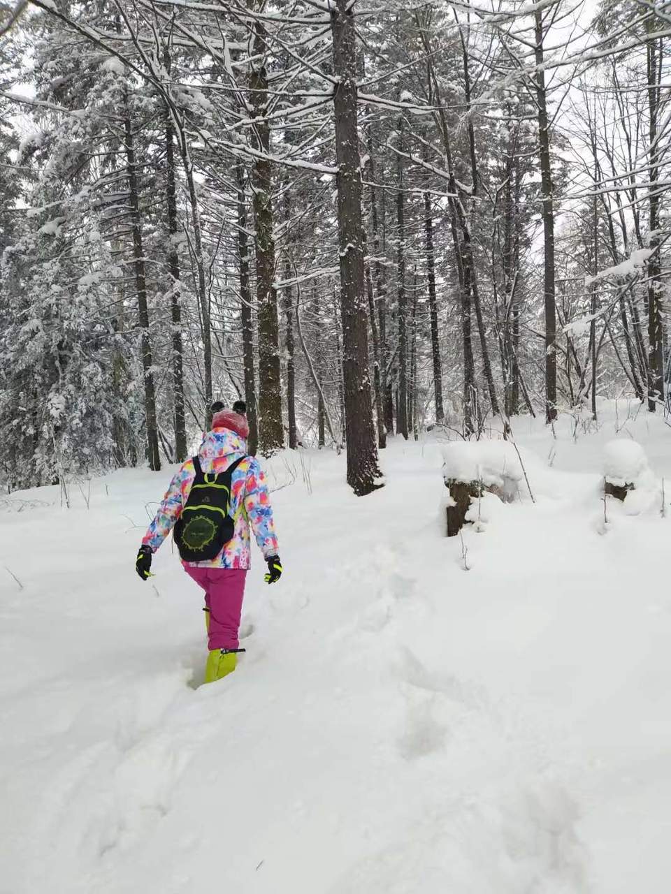 微信图片_20171201102423