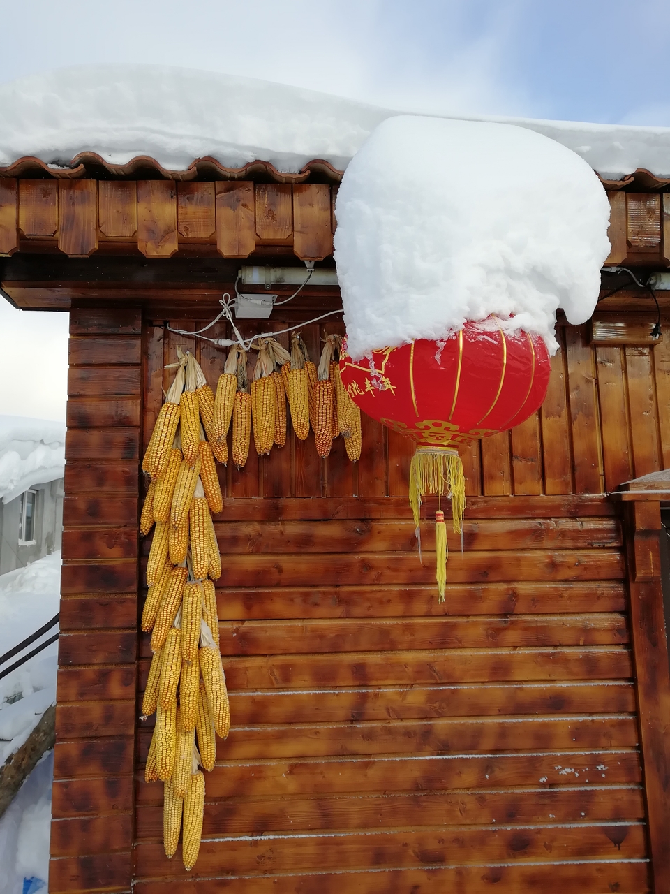 微信图片_20171203101442