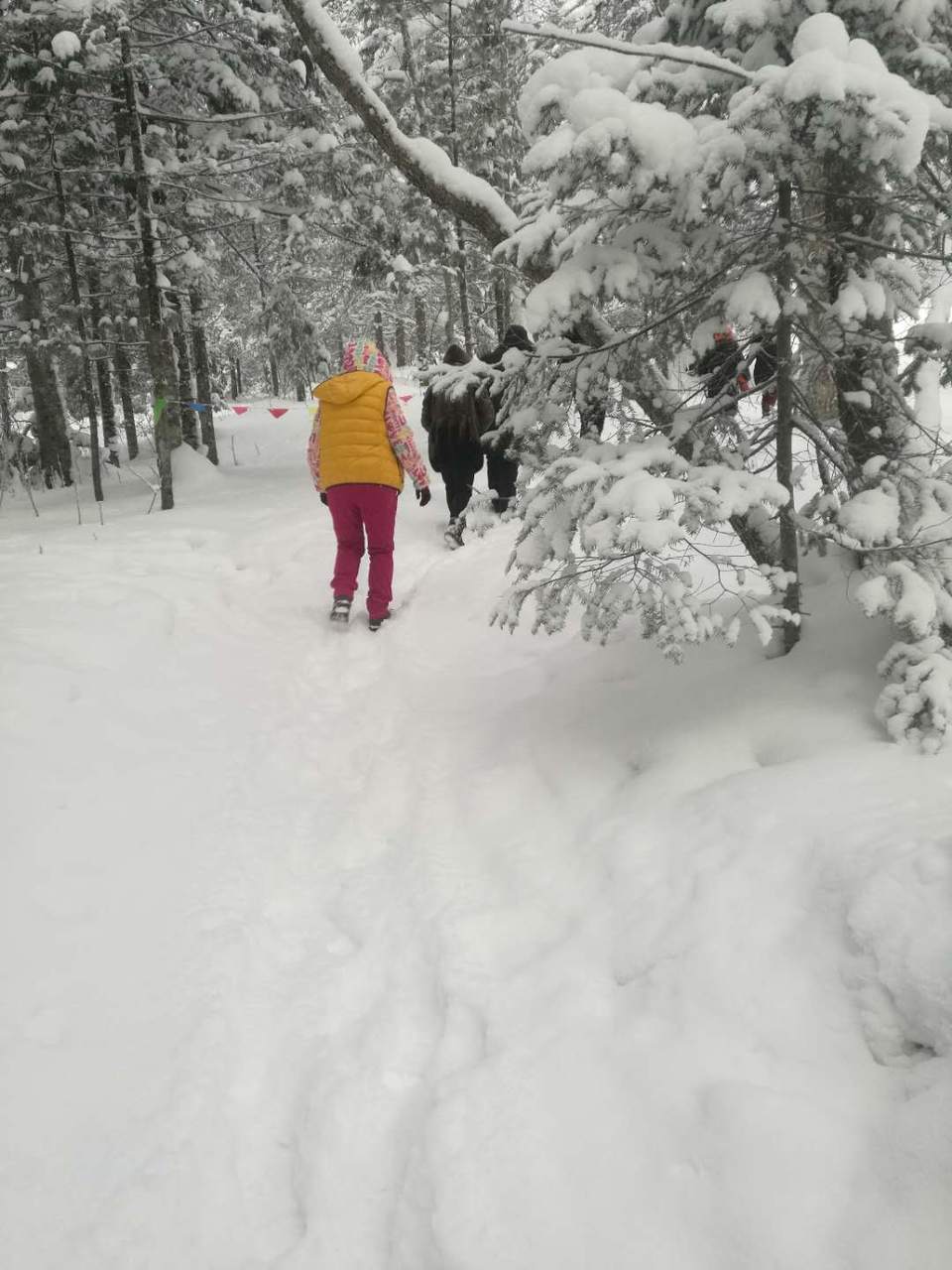 微信图片_20171204001503