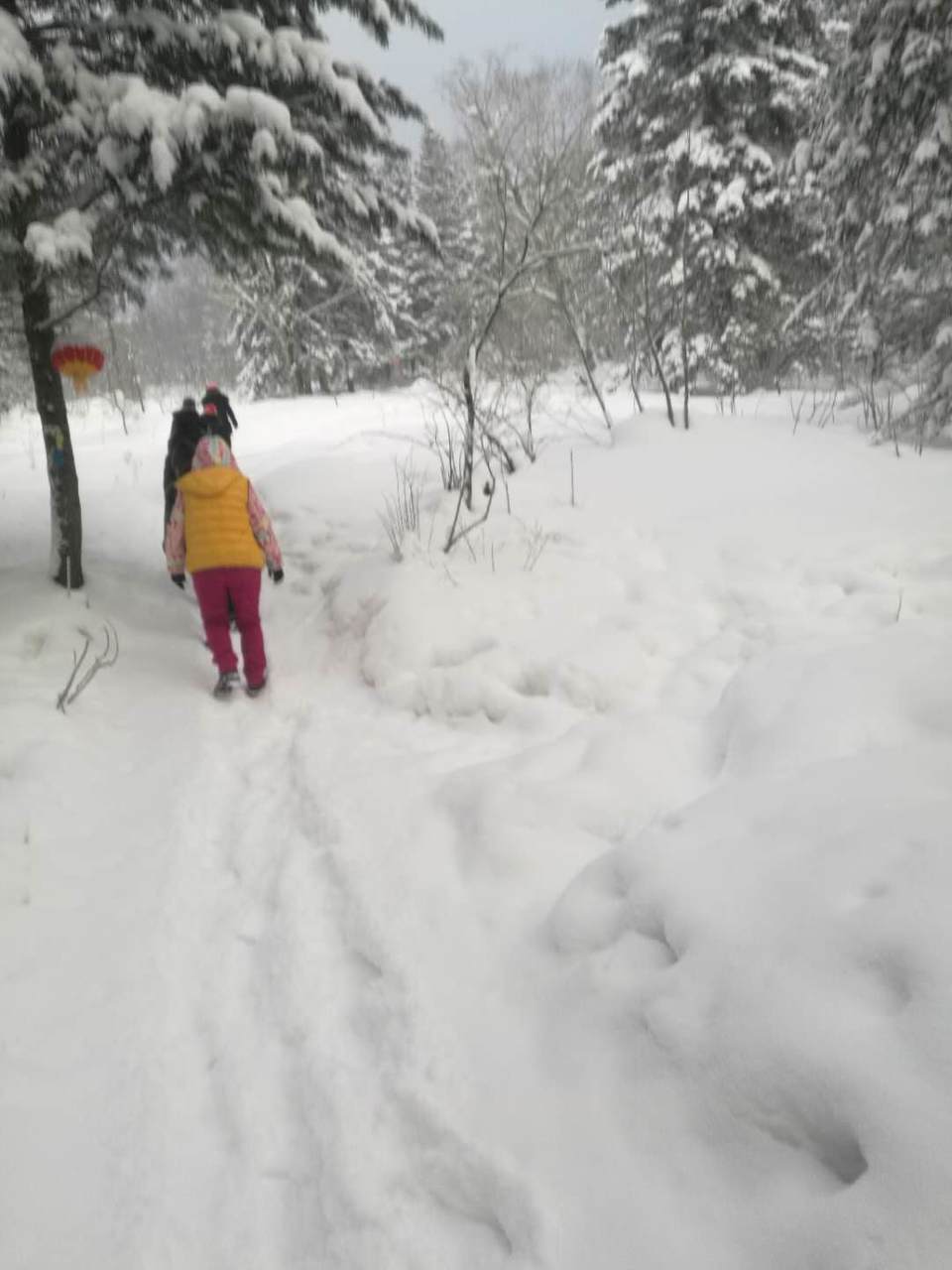 微信图片_20171204001506