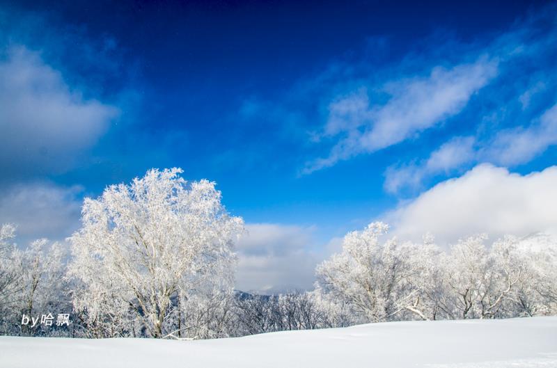 微信图片_20171204001515