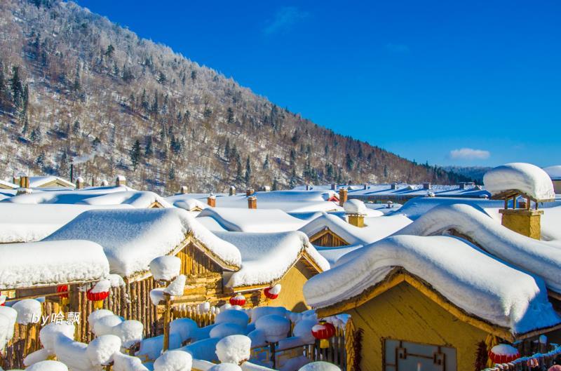 微信图片_20171204001518