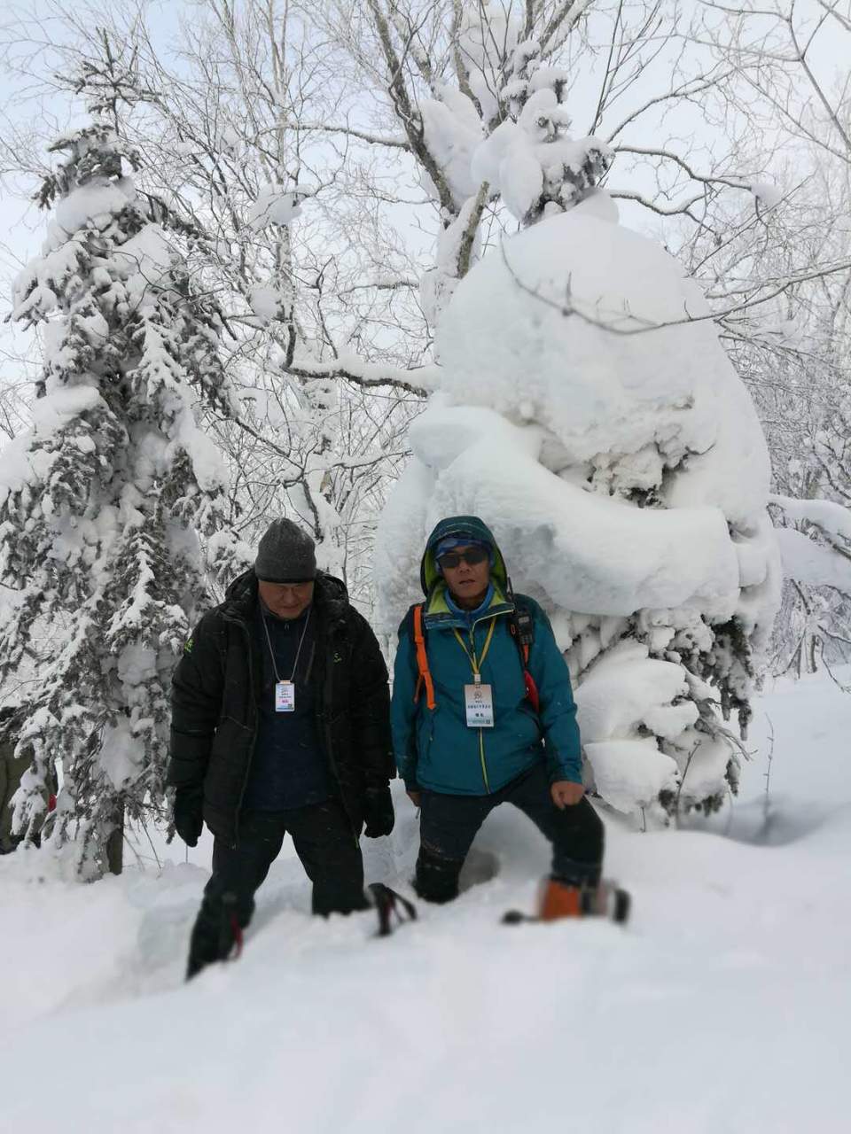 微信图片_20171216181421