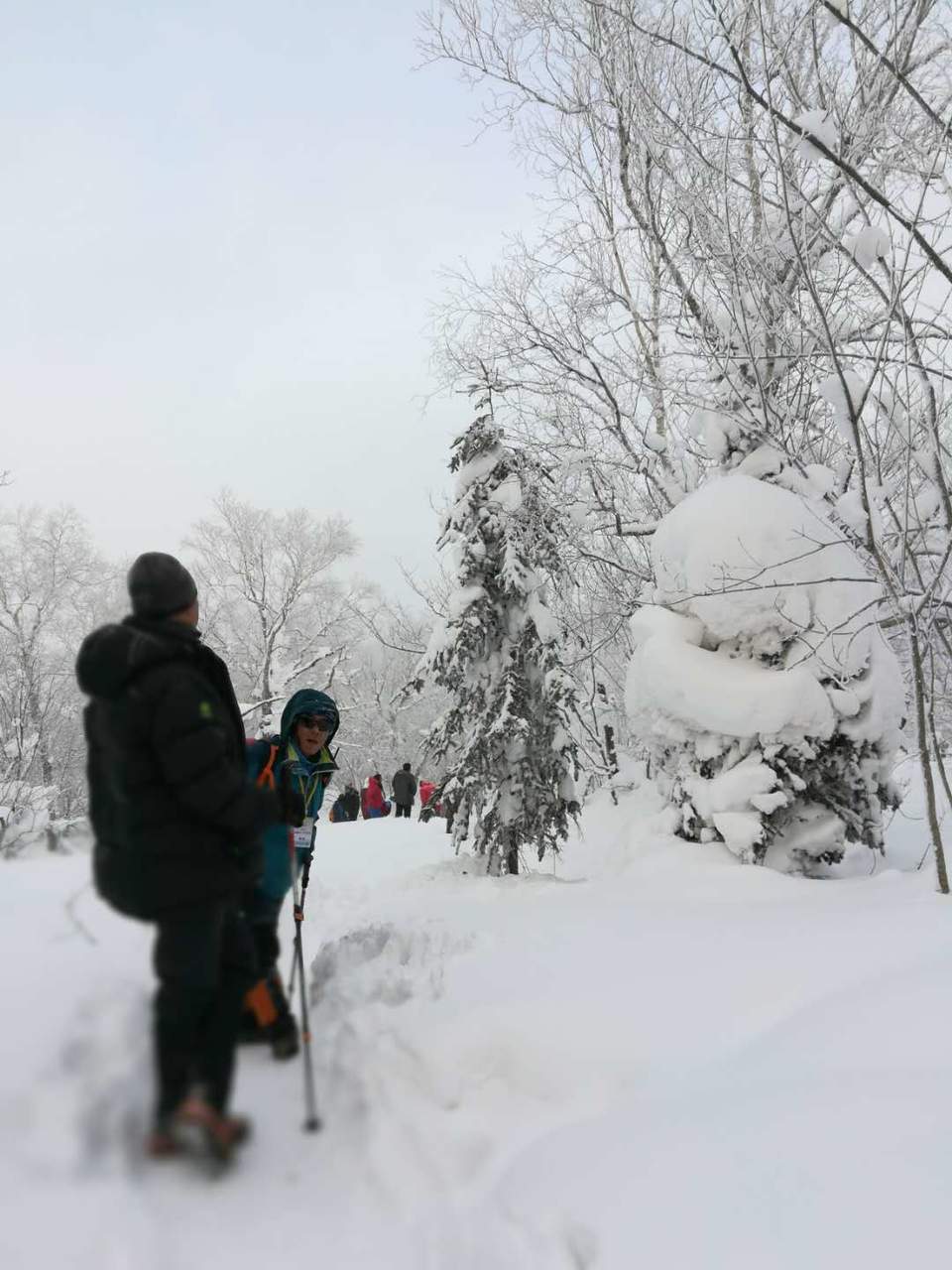 微信图片_20171216181430