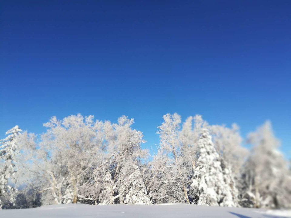 微信图片_20171217121855