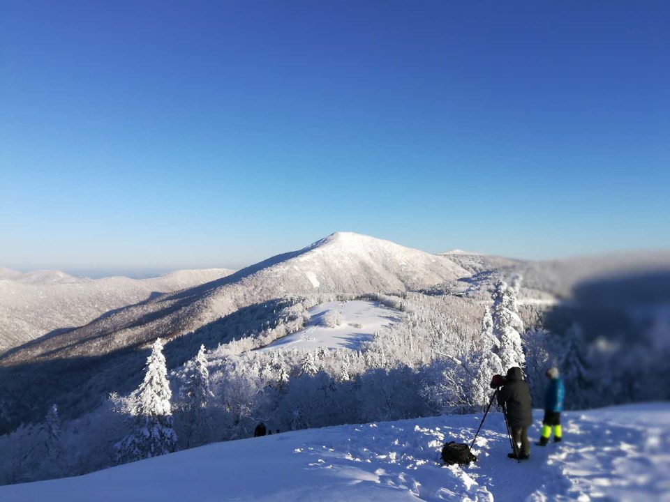 微信图片_20171217121902