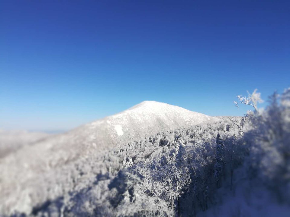 微信图片_20171217121916