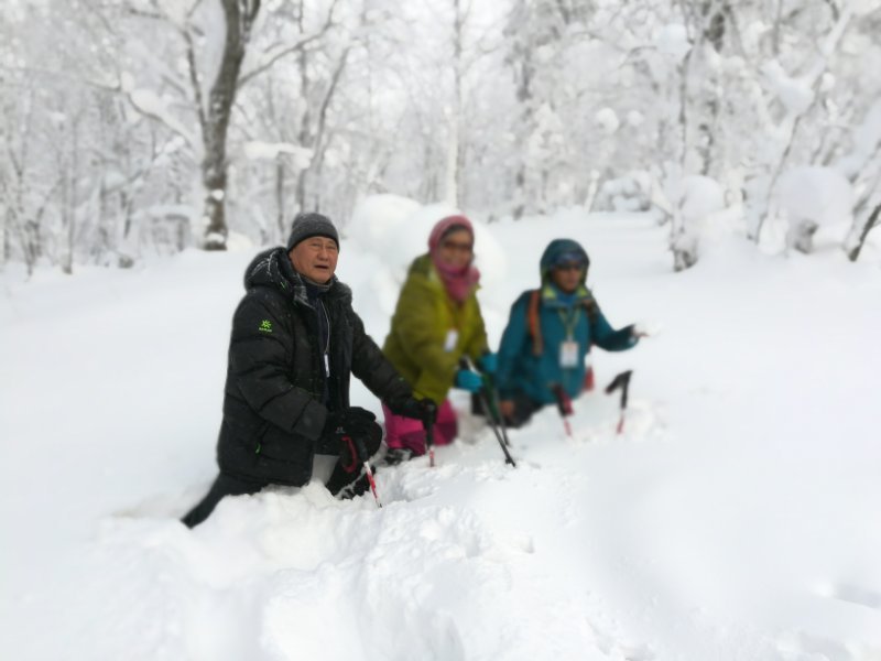 微信图片_20171217134131