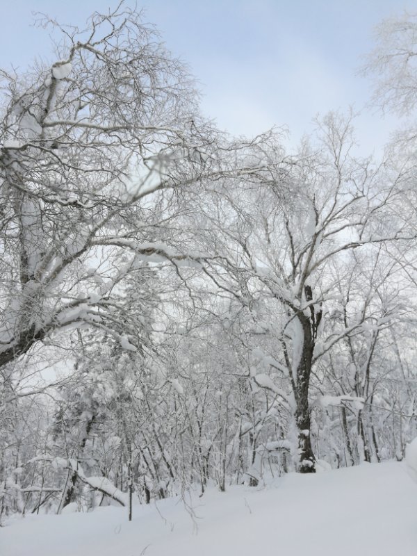 微信图片_20171217134148