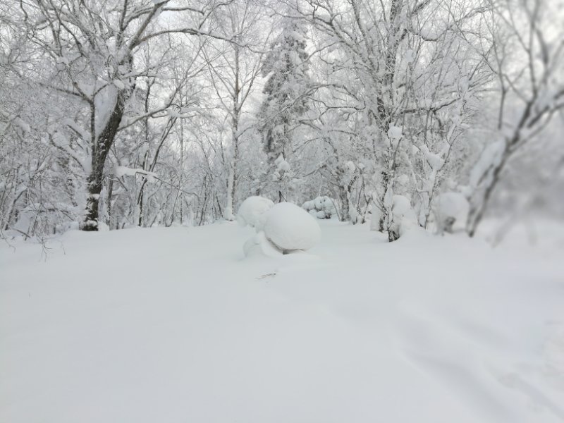 微信图片_20171217134151