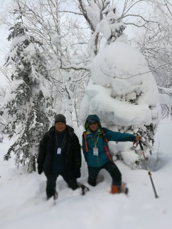 微信图片_20171217134154