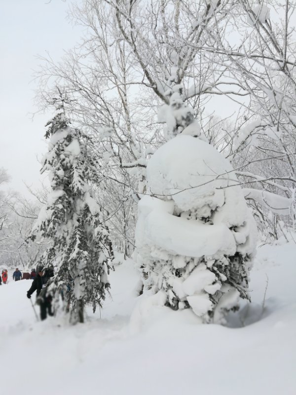 微信图片_20171217134159