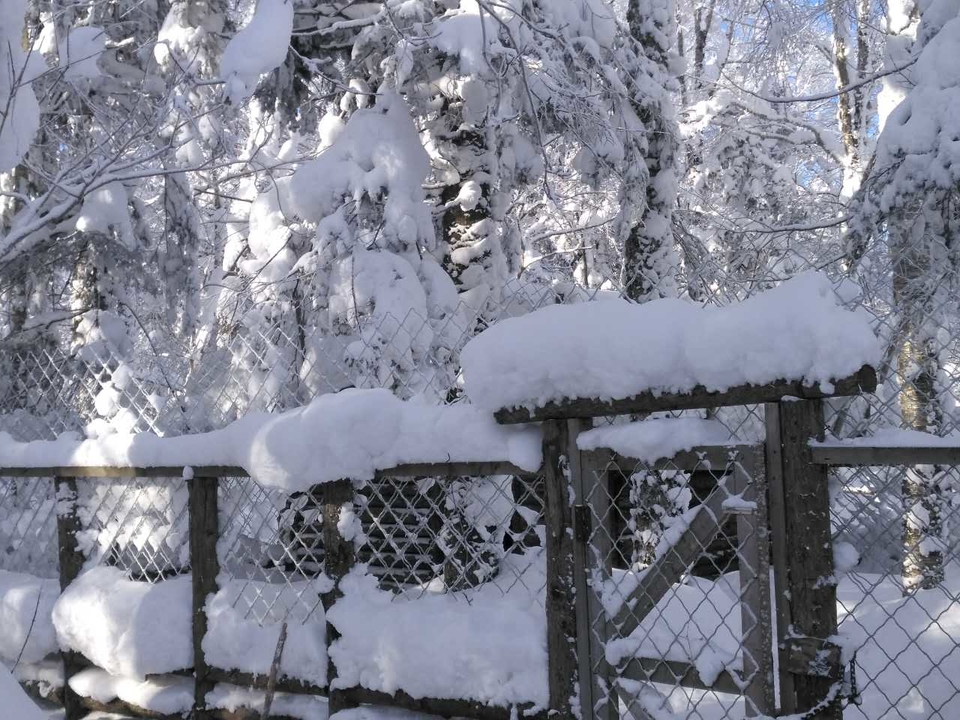 微信图片_20171217141922