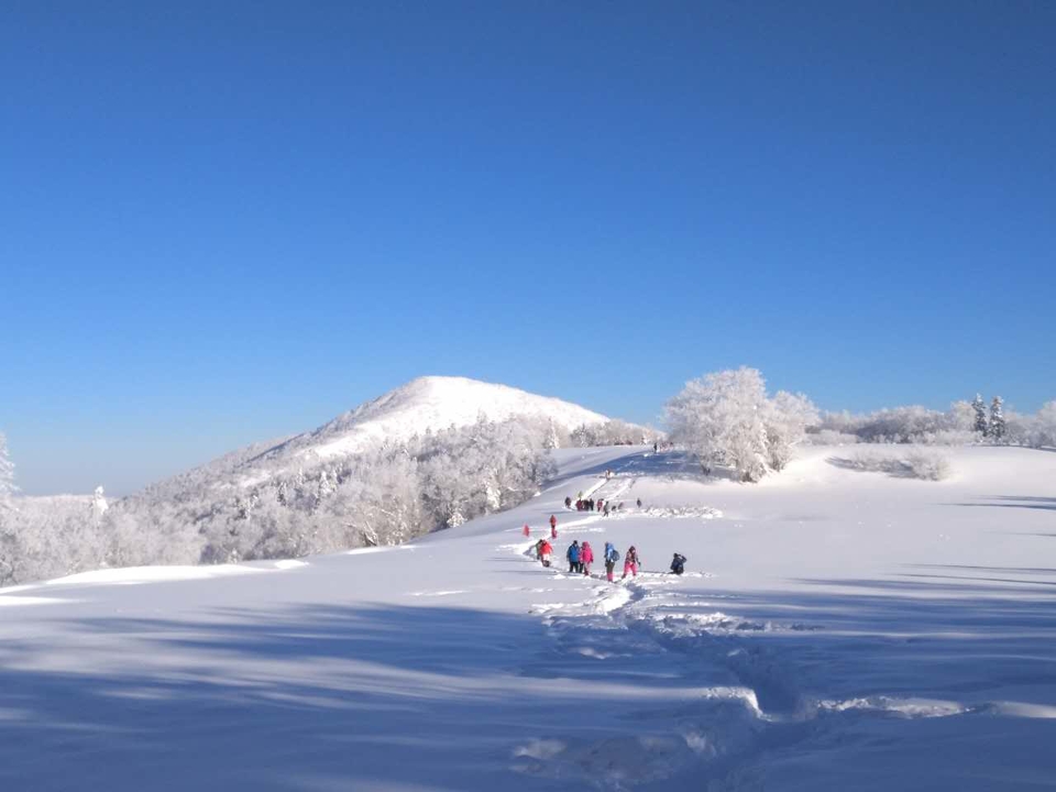 微信图片_20171217141933