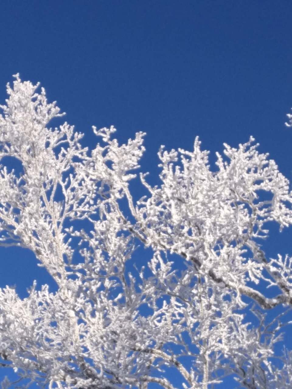 微信图片_20171217141937