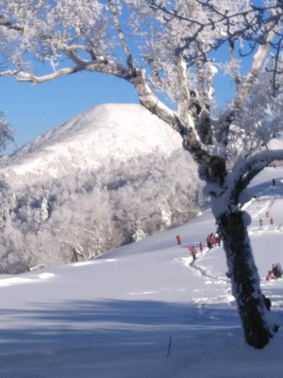 微信图片_20171217141941