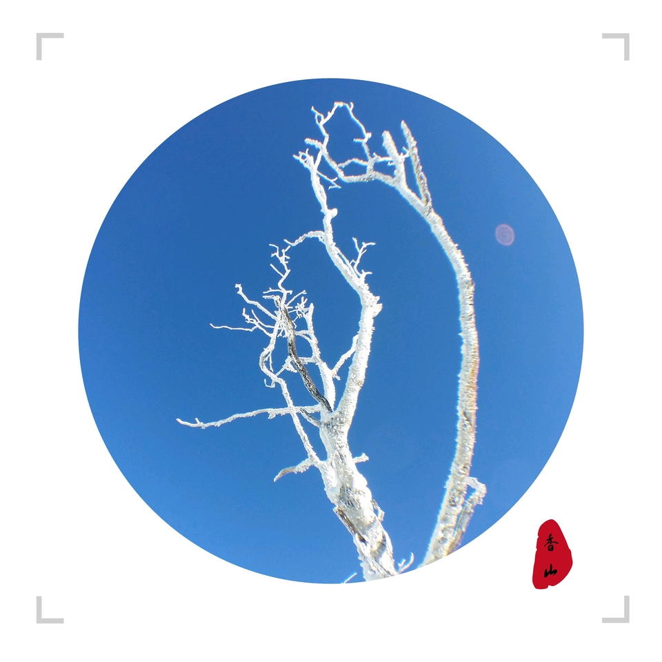 微信图片_20171217200858