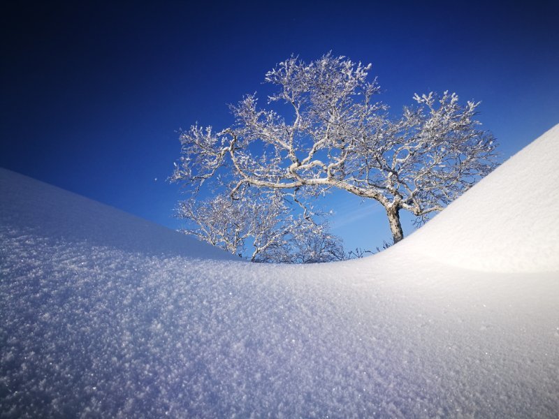 微信图片_20180107135536