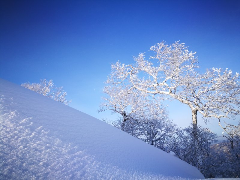 微信图片_20180107200546