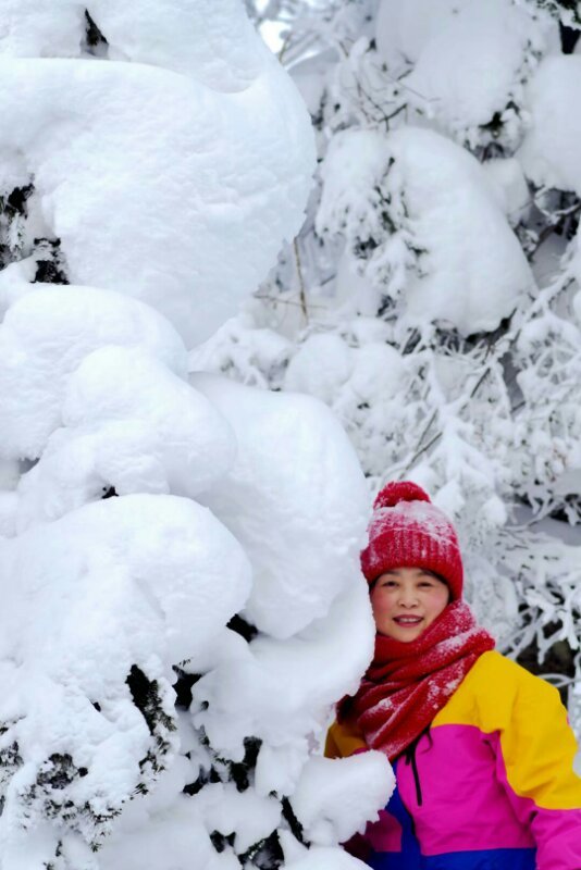 微信图片_20180109211751