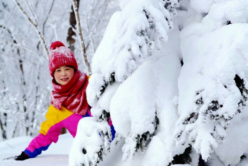 微信图片_20180109211929