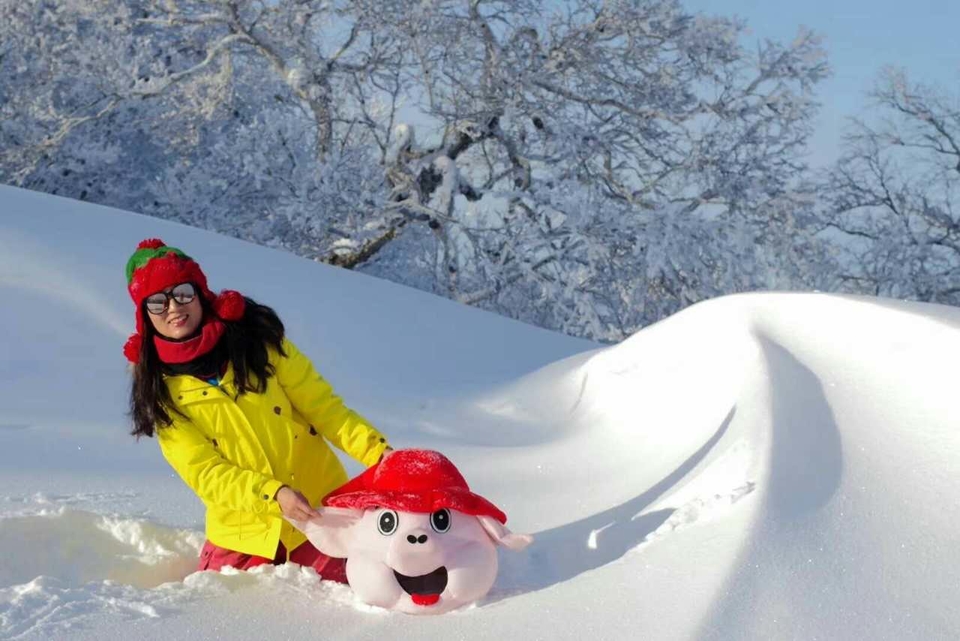 微信图片_20180111212923