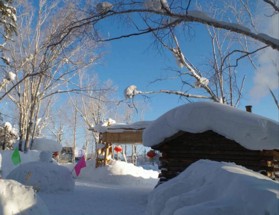 微信图片_20180123120621