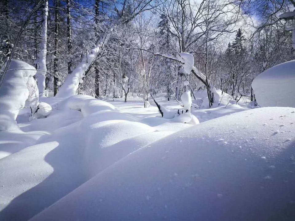 微信图片_20180123120625