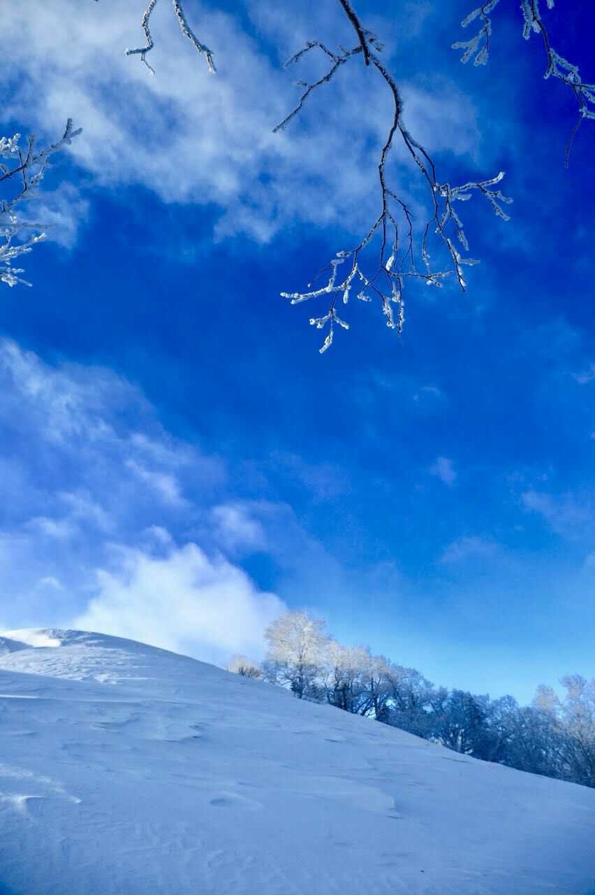 微信图片_20180128184845