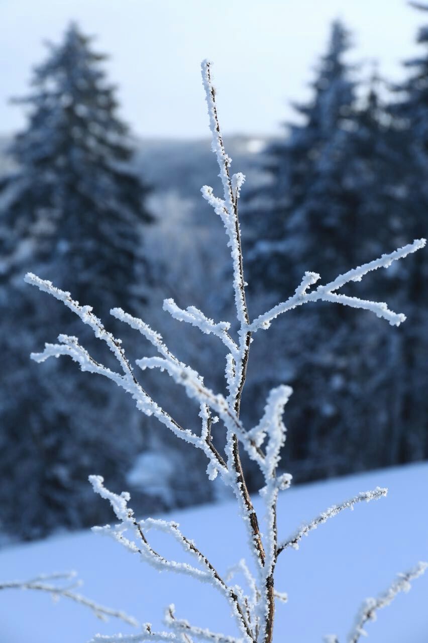 微信图片_20180128185054