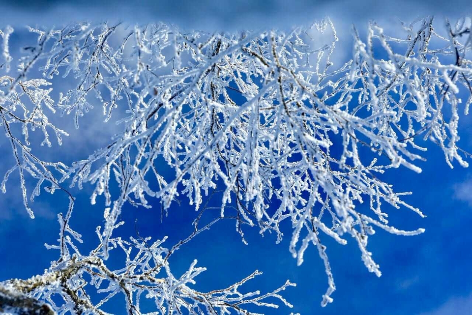 微信图片_20180128185102