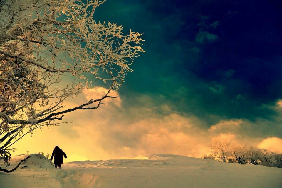 微信图片_20180128185129