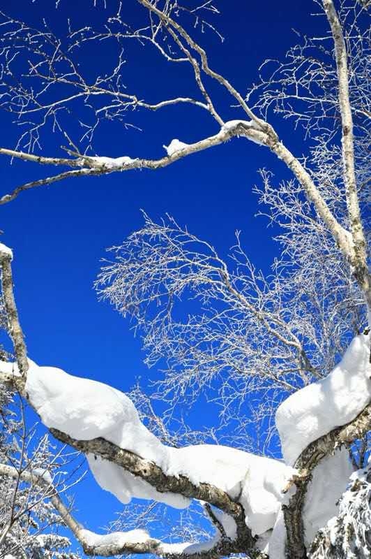 微信图片_20180128185159