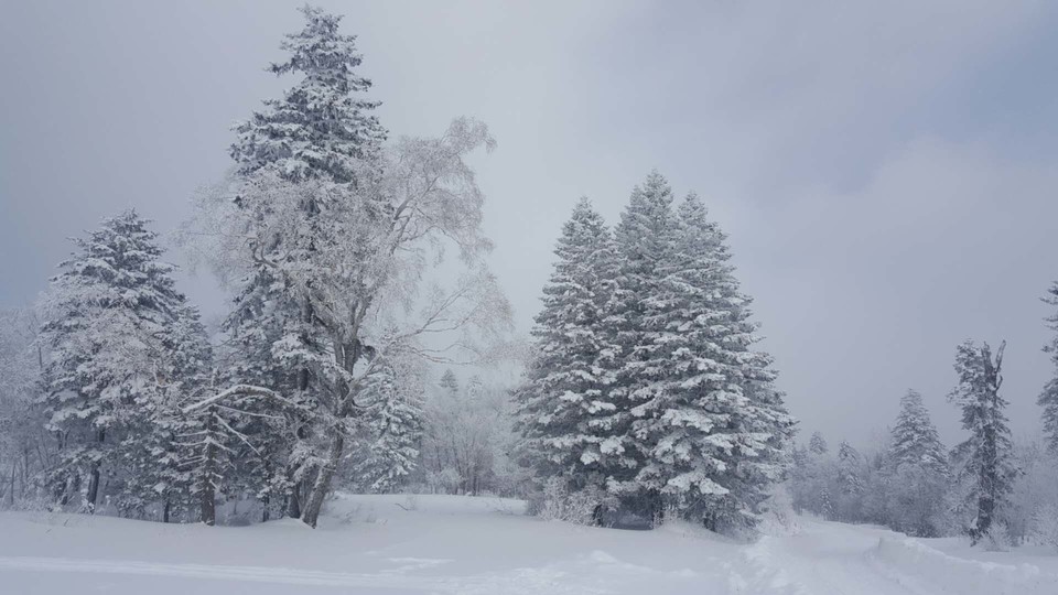 微信图片_20180204194655