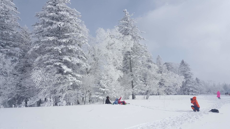 微信图片_20180204194659