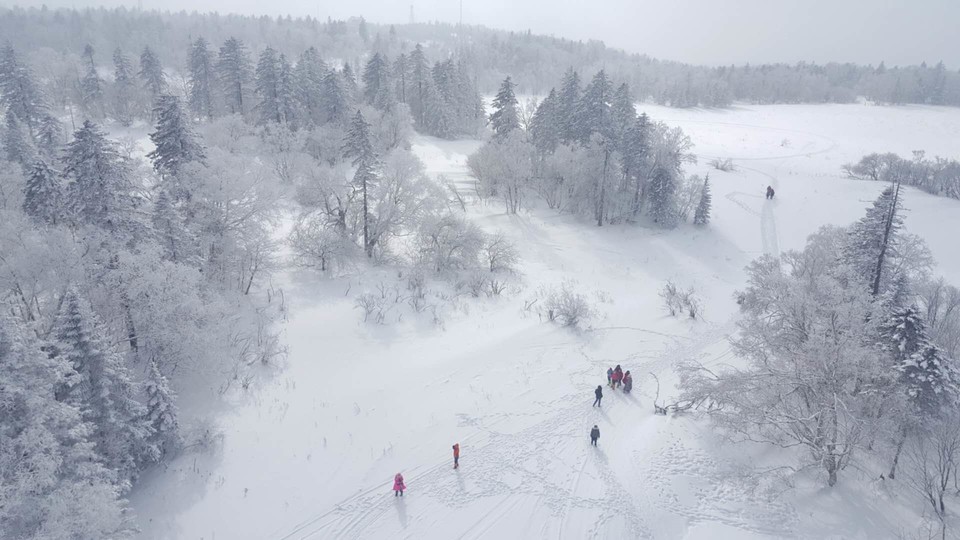 微信图片_20180204194704