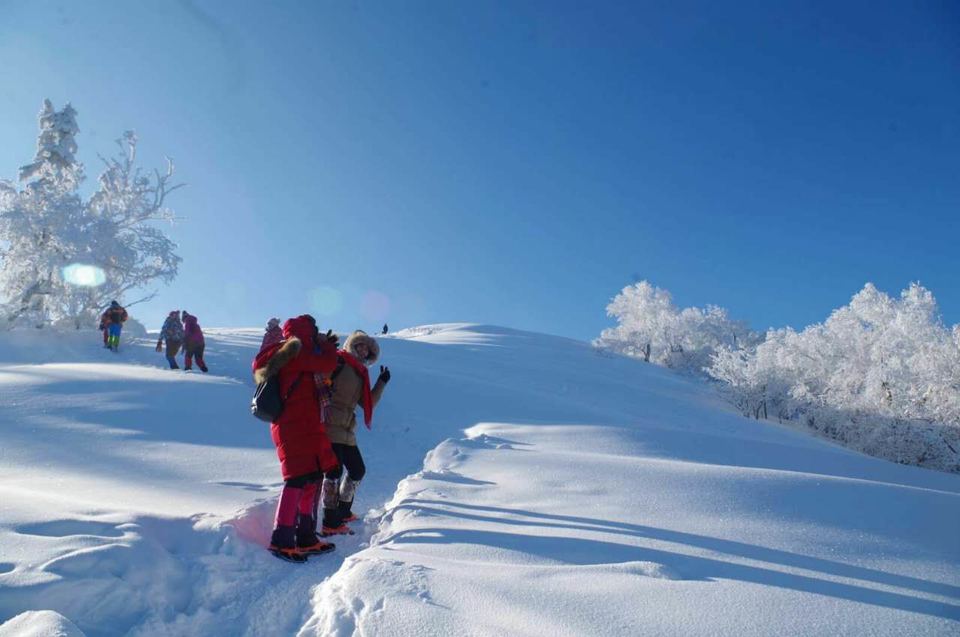 微信图片_20180205115010