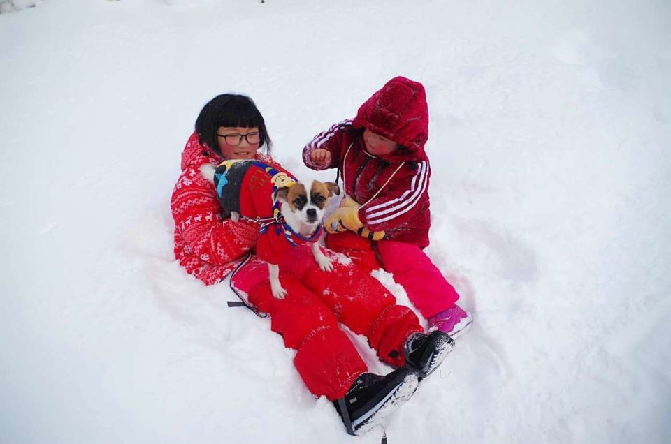 微信图片_20180205115047