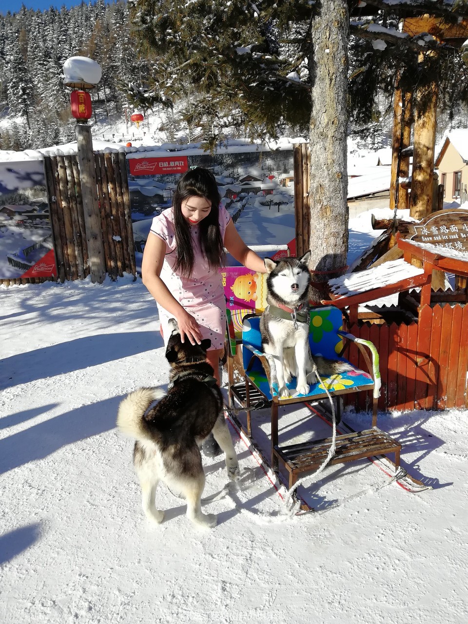 微信图片_20180113113912