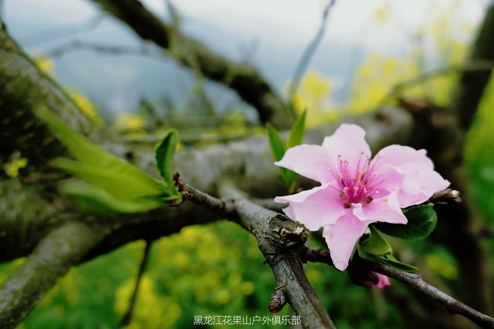 微信图片_20180321100547