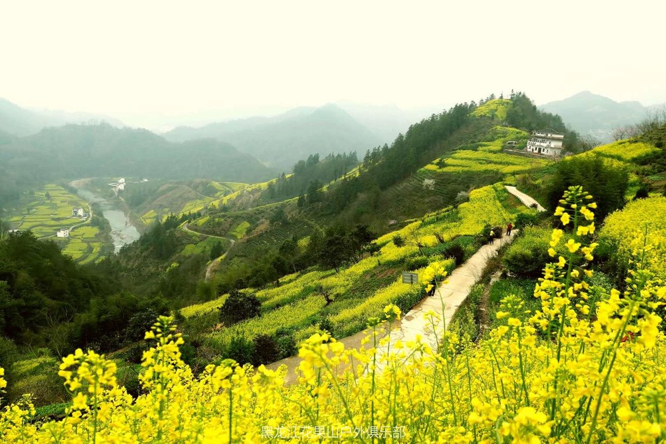 微信图片_20180321100553